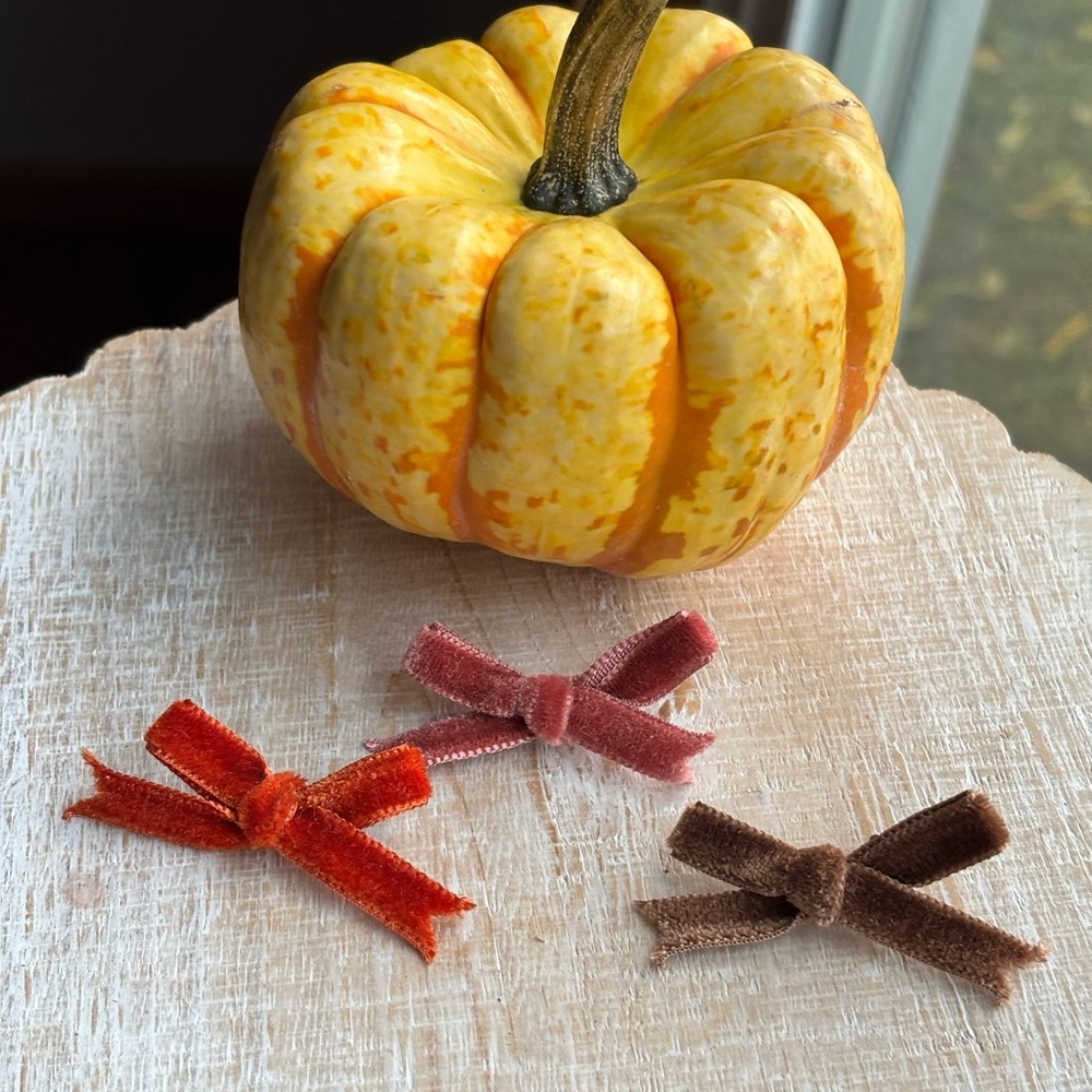 Velvet Bow Hair Clips Set - Orange, Pink, Brown
